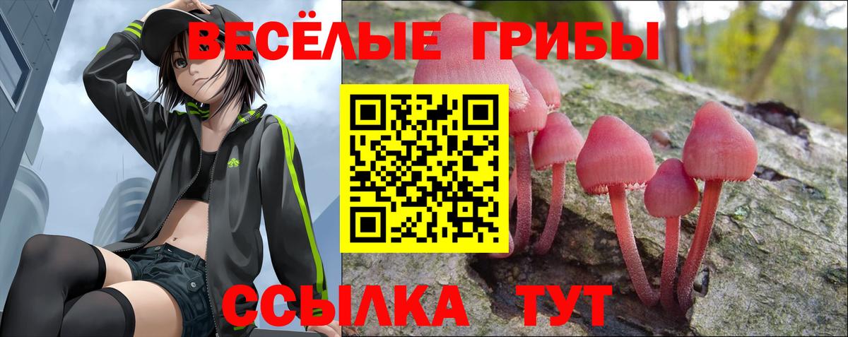 Городец  Псилоцибиновые грибы Cubensis  Вход с VPN  Галлюциногенные грибы Psilocybine cubensis 
